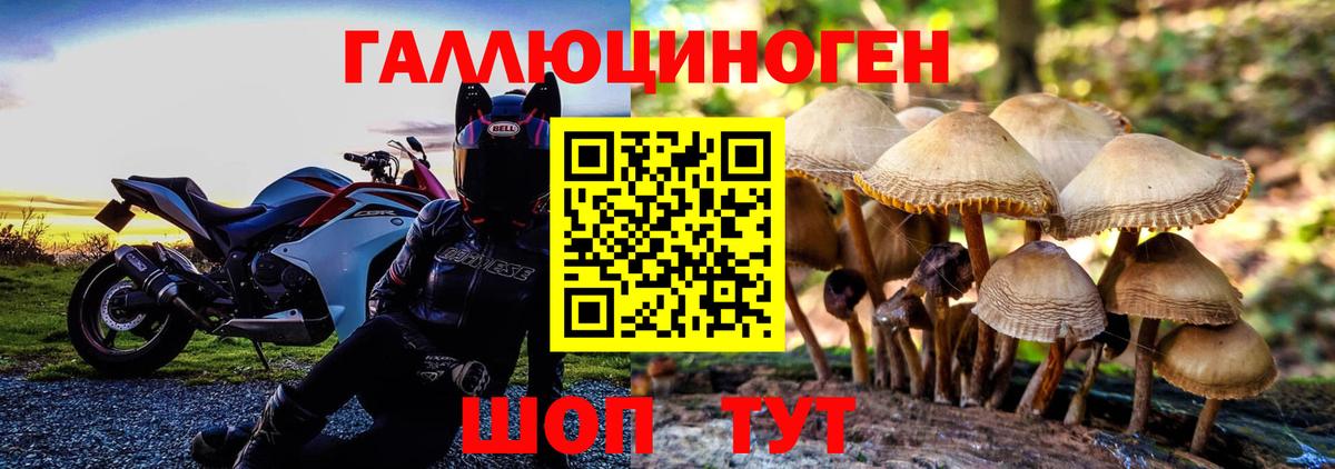 где купить наркоту  Галлюциногенные грибы MAGIC MUSHROOMS  Вход с VPN  Шелехов 